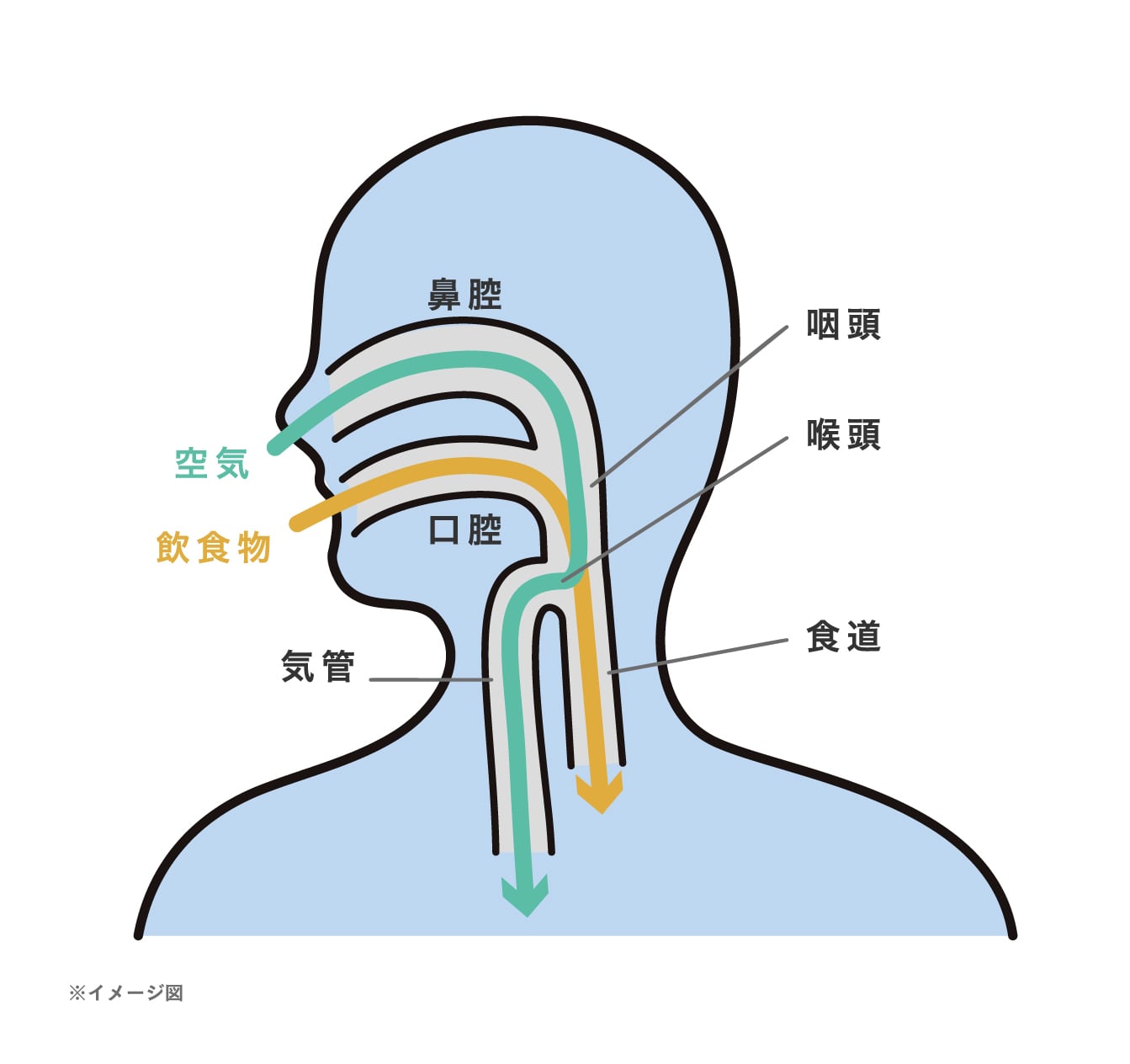 喉の違和感 枕 安い 治る